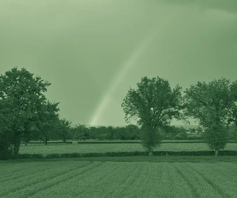 Arc-en-ciel au-dessus des champs et des haies
