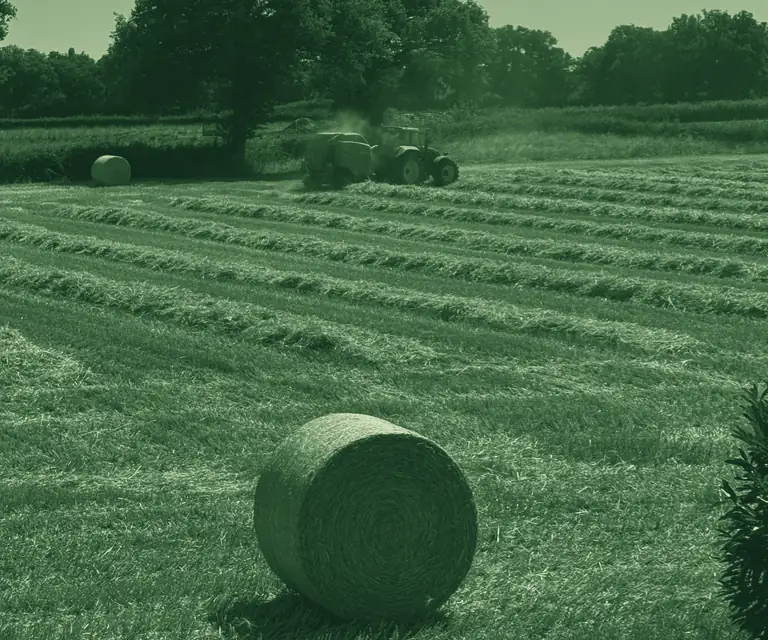 Pressage des bottes de paille pendant la moisson